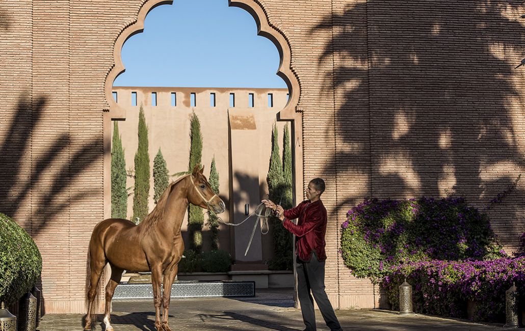 Incentive Marrakech, 