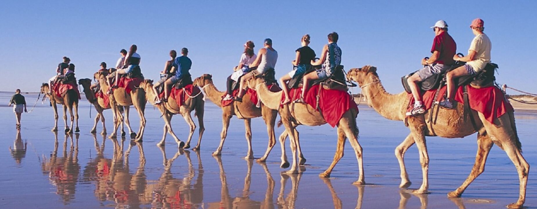 Incentive Marrakech, Incentive morocco <br>camels riding